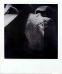 �Figure nel Tempo�