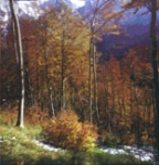 Esplorando l�Appennino fino al cuore dei Sibillini