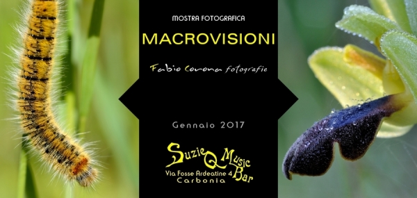 Macrovisioni