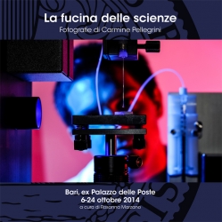 La fucina delle scienze