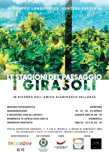 Le Stagioni Del Paesaggio I Girasoli