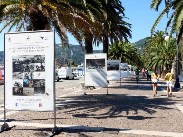 Premio fotografico Nazionale Mitilicoltori della Spezia 2023