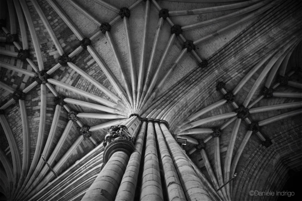 GOTICA.CONTRAPPUNTI D'ARCHITETTURA GOTICA.CONTRAPPUNTI D'ARCHITETTURA