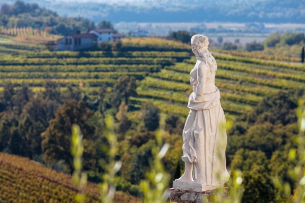 Friuli Venezia Giulia. Viaggio nella terra dell'oro