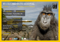 Fofu Phot'Art 2014 Fofu Phot'Art 2014