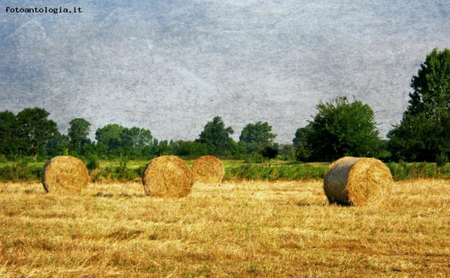 Paesaggio di pianura