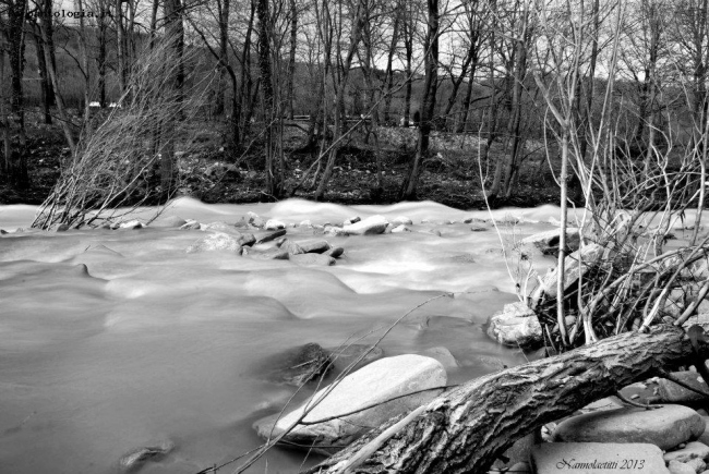 Velluto in sfumature di grigio