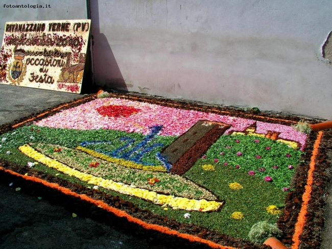 Infiorata di Rivanazzano