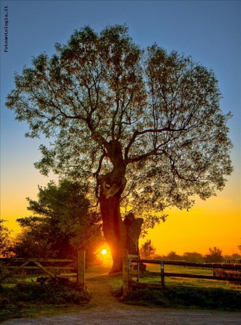 Eye Of Nature