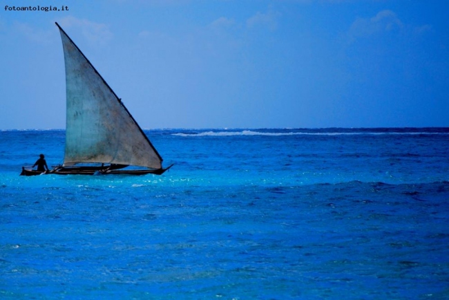 Dhow