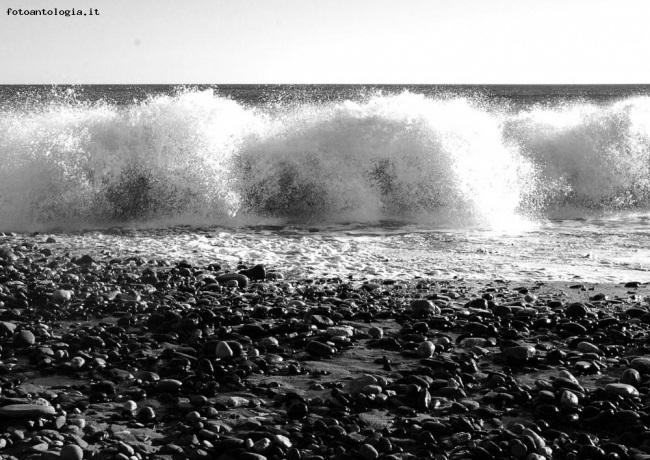 pezzi di mare