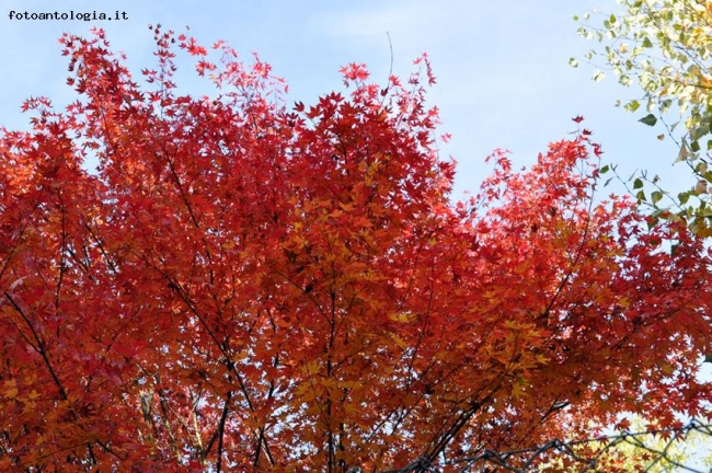 colori forti nel cielo