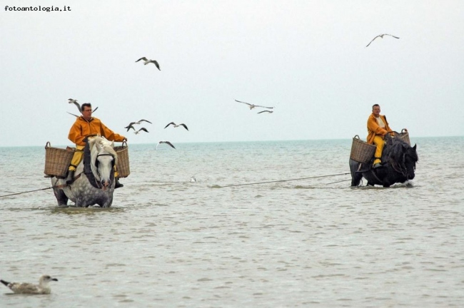 I pescatori di gamberetti del Mare del Nord