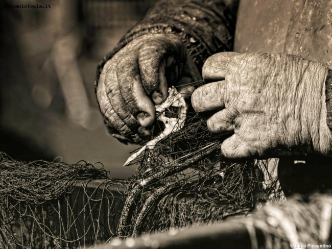 Le mani del pescatore.....