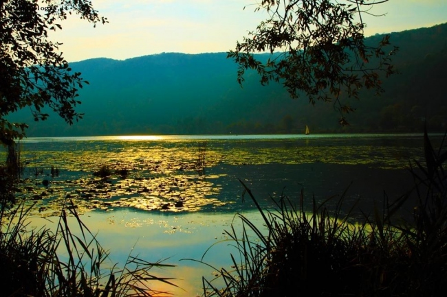 Riflessi d'orati