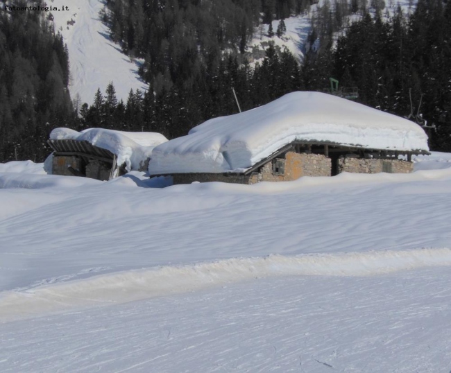 ha nevicato un p.....