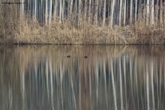 ....riflessi della natura