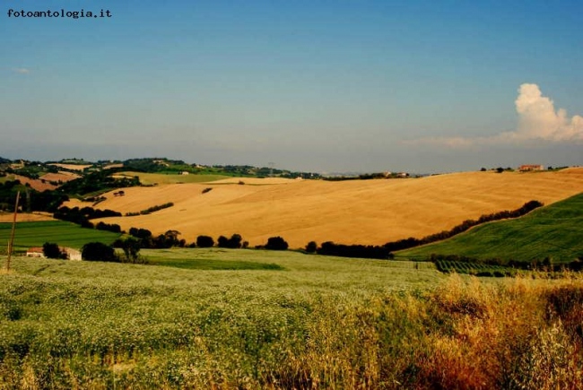 pomeriggi d'estate..