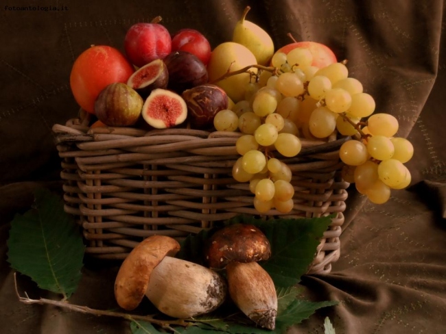 ....e l'autunno dolcemente arriva