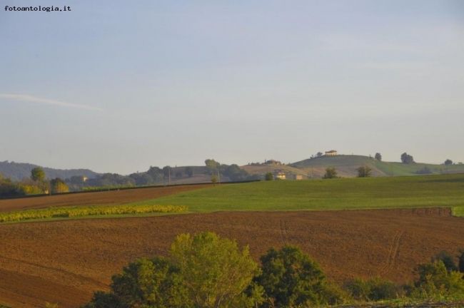 colline autunnali