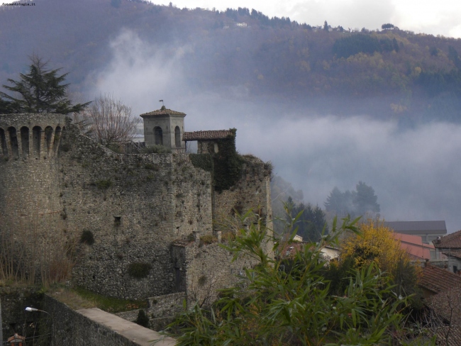 VOLTERRA