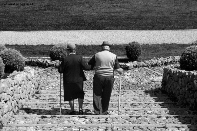L'uno il bastone dell'altro ...
