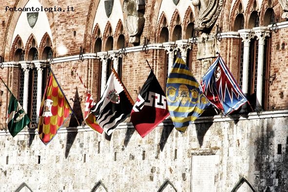 Siena Palio