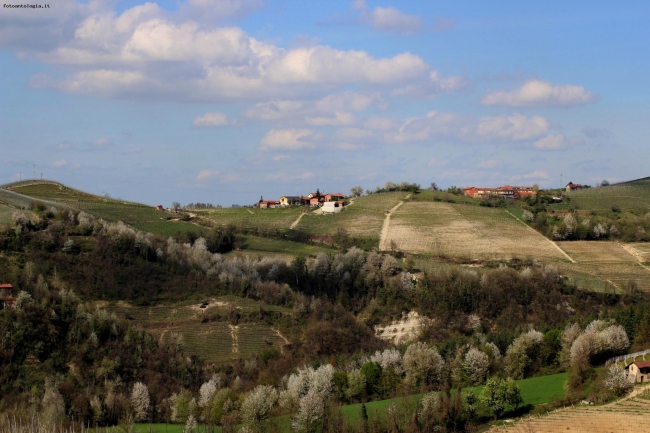 primavera in langa