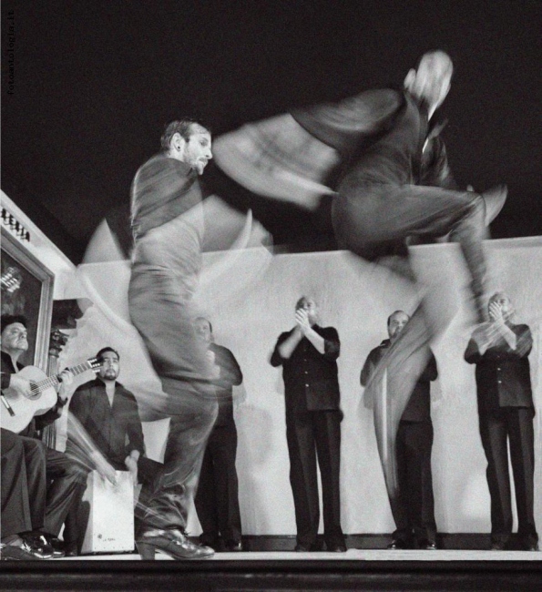 flamenco 2