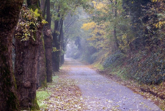 Lunga e diritta correva la strada 