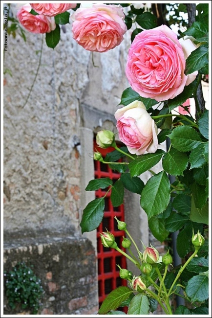 Le porte di maggio ...