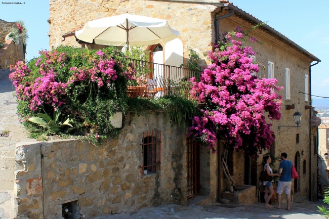 All'ombra delle bougainvillee