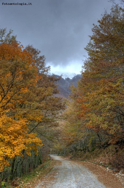 Colori d'autunno