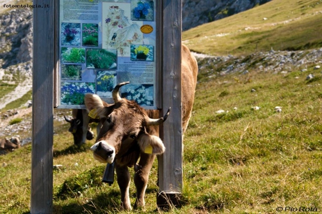 Informazioni Turistiche Alta Quota