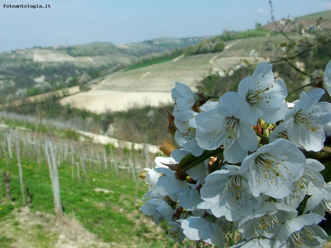 una giornata in langa