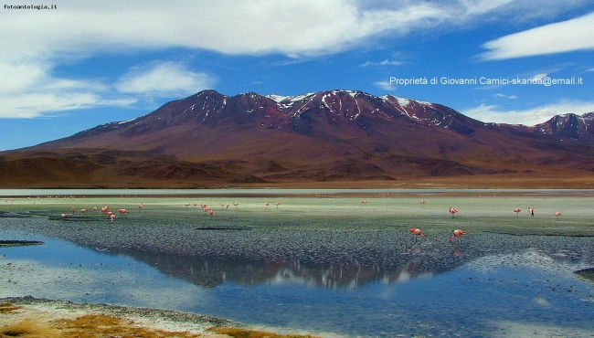 Laguna Hedionda