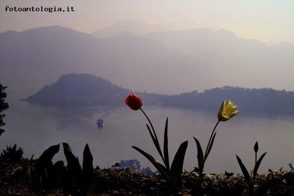 primavera sul lario