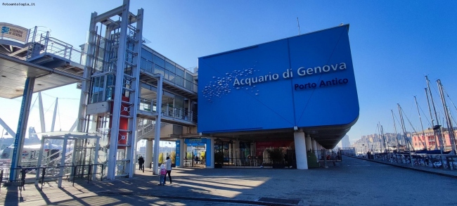 Genova - ingresso all'Acquario