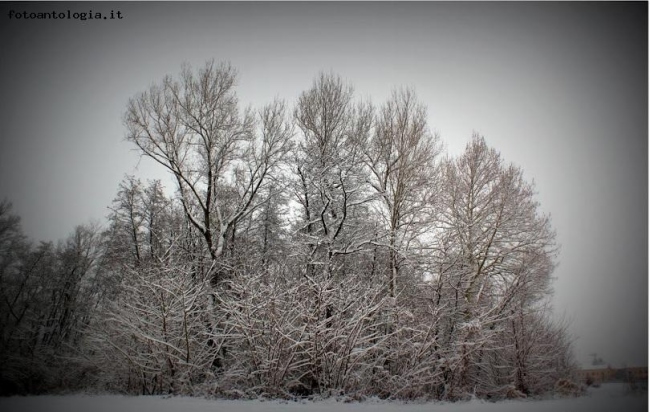 Paesaggio innevato