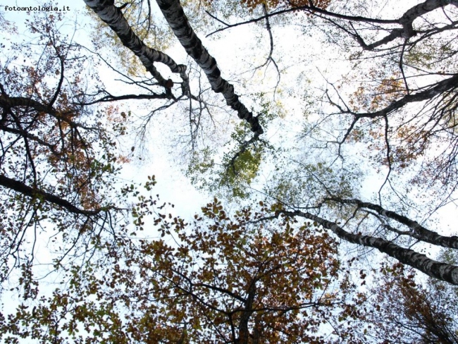 Autunno