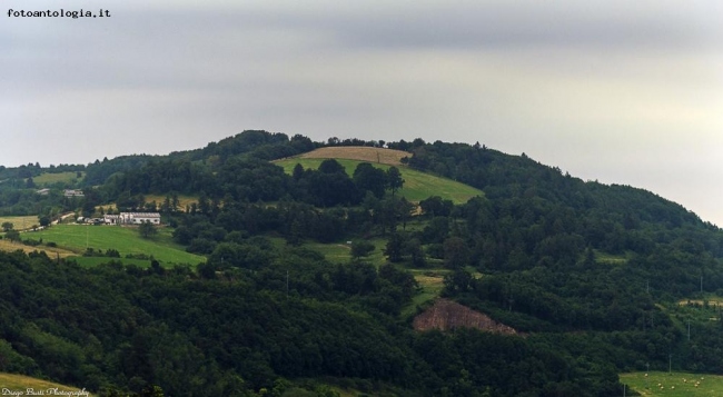 Paesaggio Montano 4