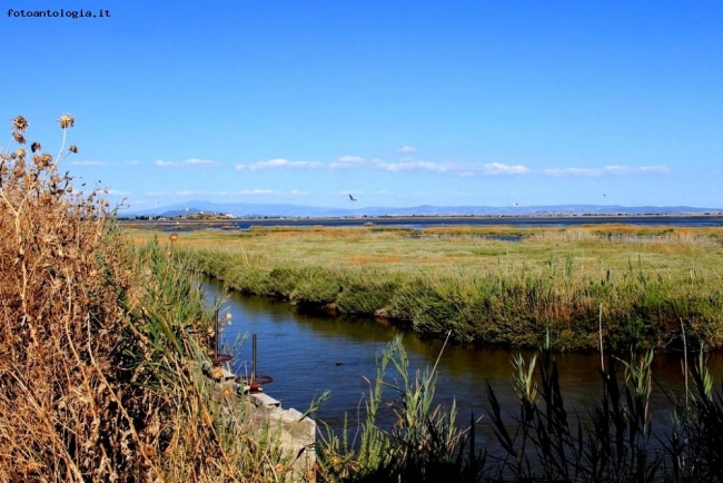 Paesaggi di Maremma