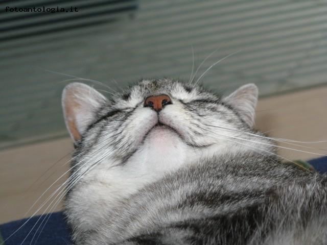 Please do not disturb.....