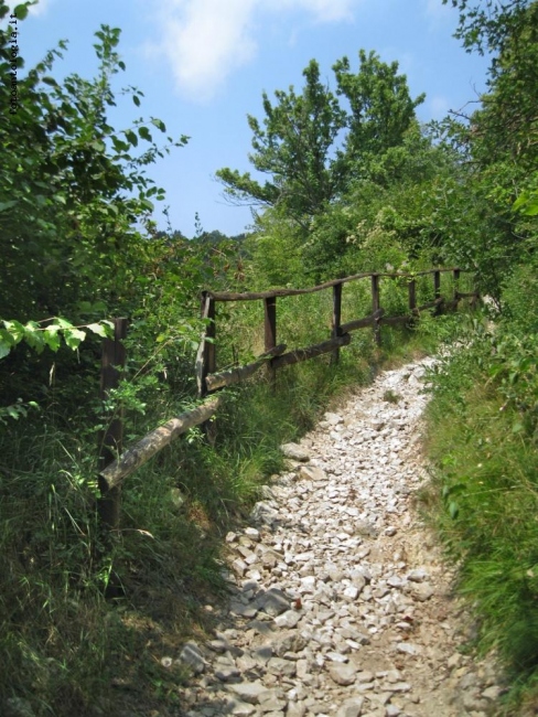 passeggiata a campo dei fiori