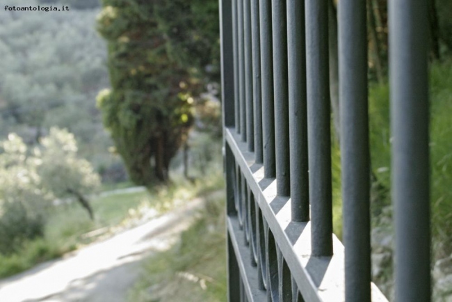Oltre il cancello