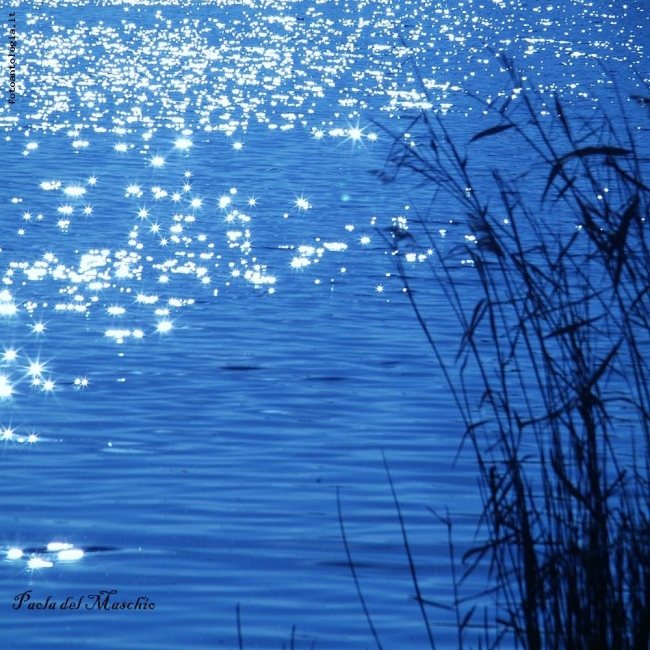 luce di stelle
