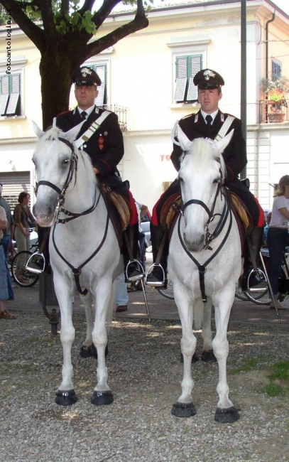 Carabinieri a cavallo