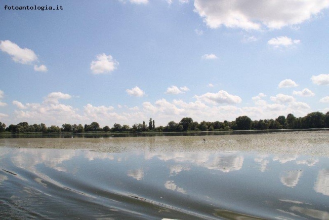 sfogliando il lago