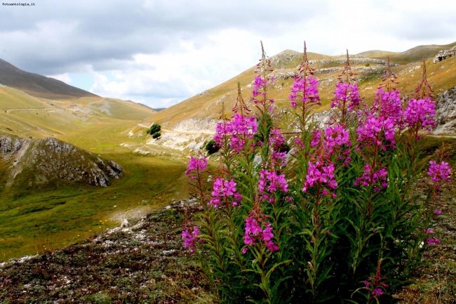 I colori della montagna 