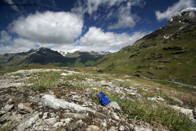 Bike Svizzera